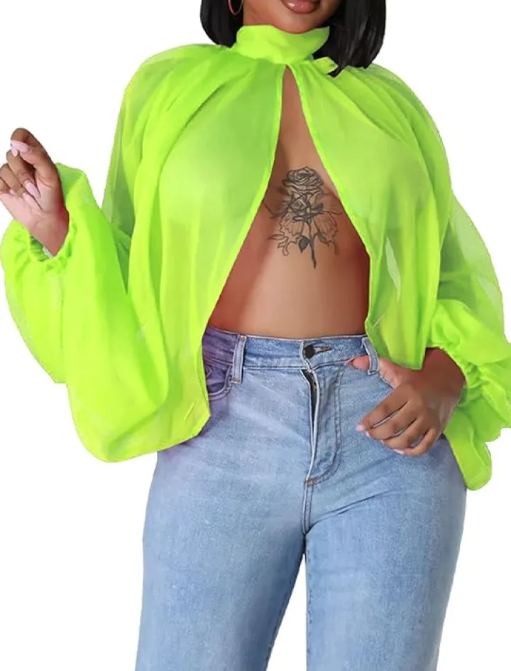 Bat Long Sleeve Chiffon Blouse