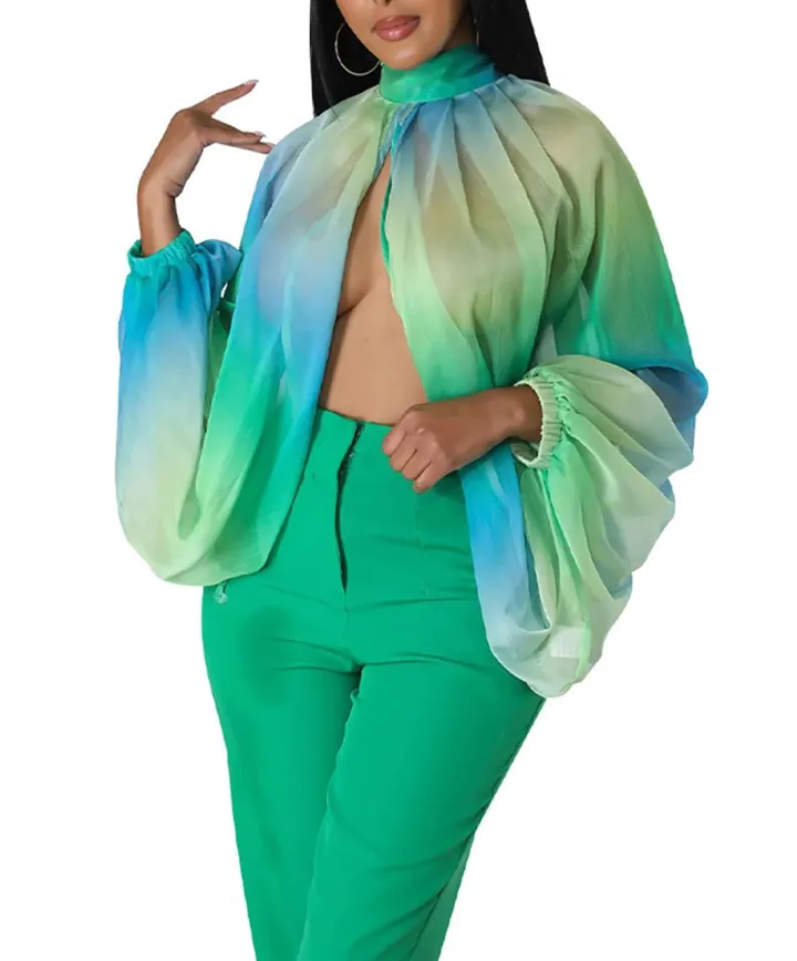 Bat Long Sleeve Chiffon Blouse