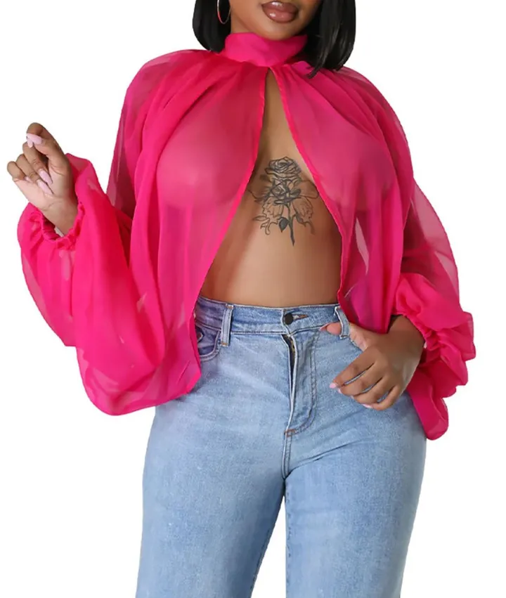 Bat Long Sleeve Chiffon Blouse