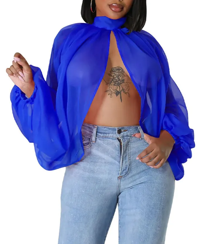 Bat Long Sleeve Chiffon Blouse