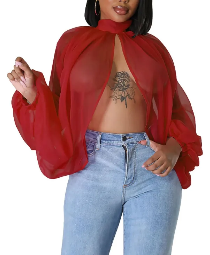 Bat Long Sleeve Chiffon Blouse