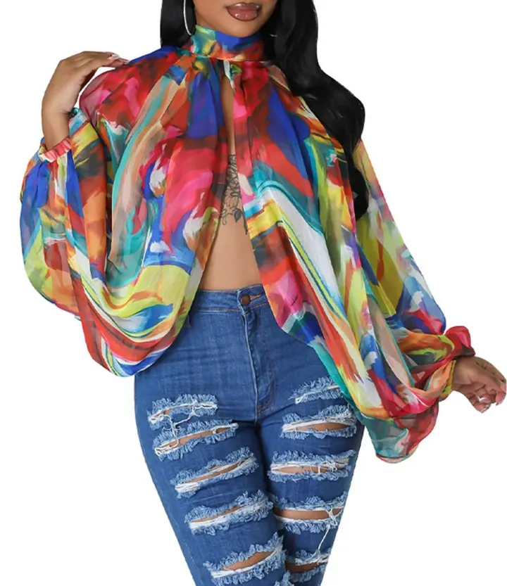 Bat Long Sleeve Chiffon Blouse