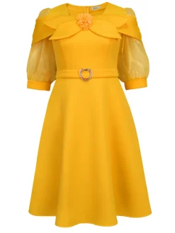 Bow Tie Lantern Sleeve A-Line Dress