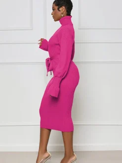 High Neck Long Sleeve Solid Midi Dreses