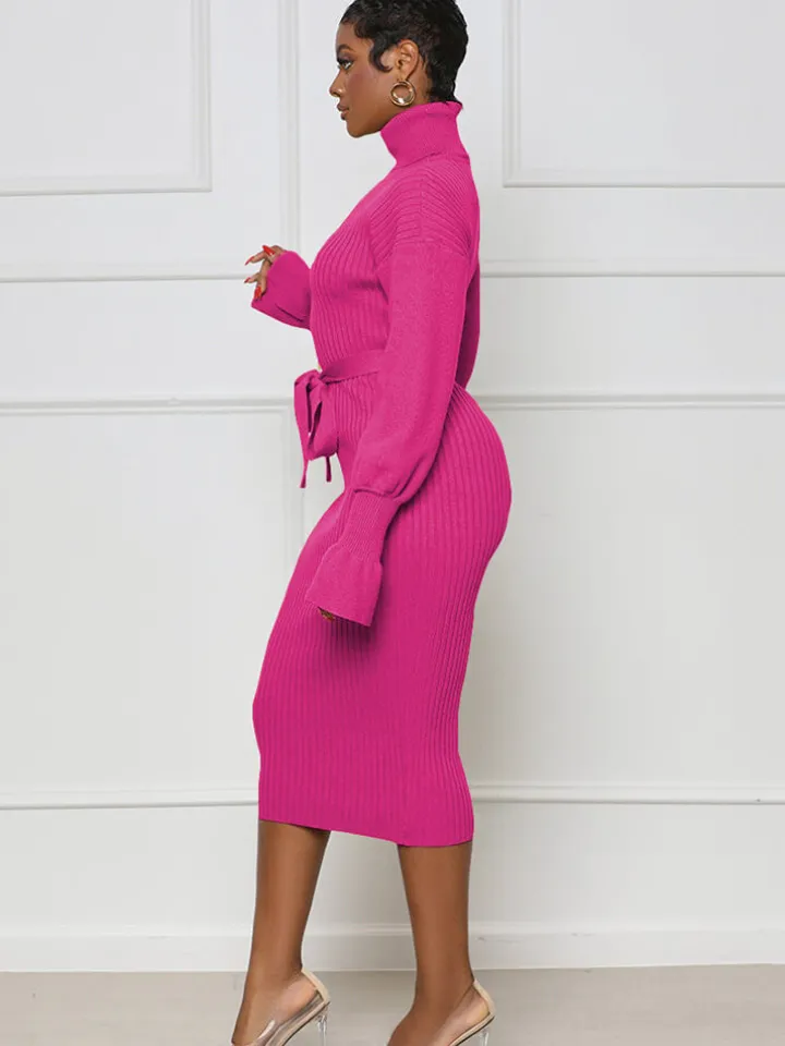 High Neck Long Sleeve Solid Midi Dreses