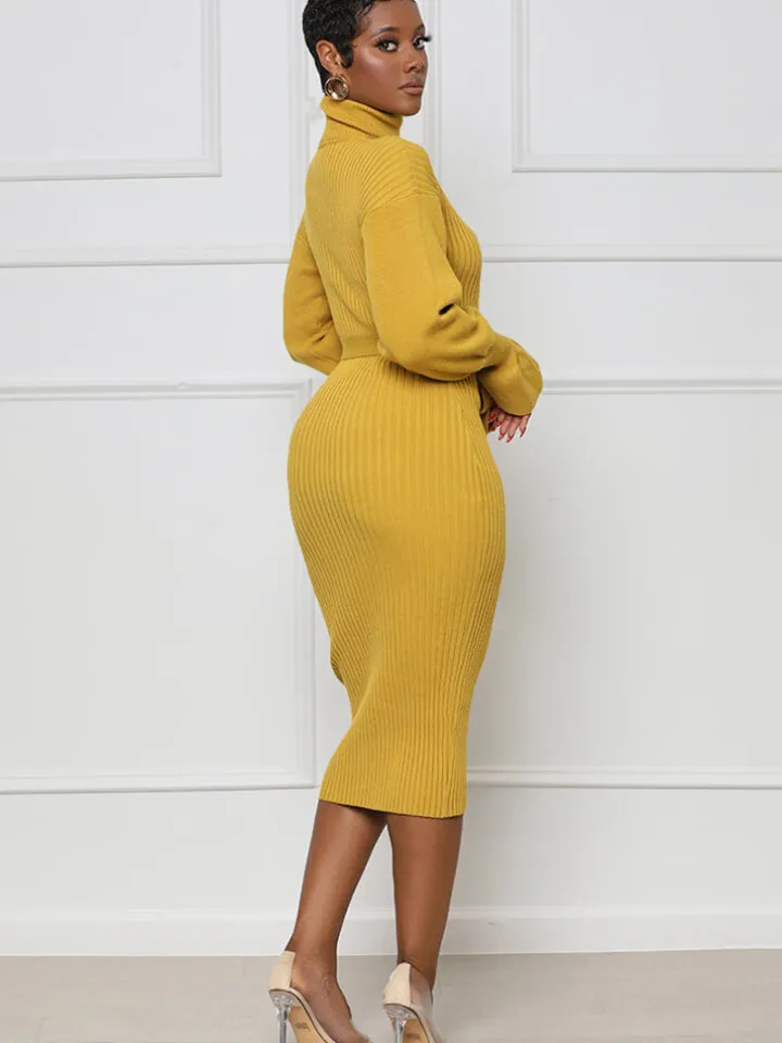 High Neck Long Sleeve Solid Midi Dreses