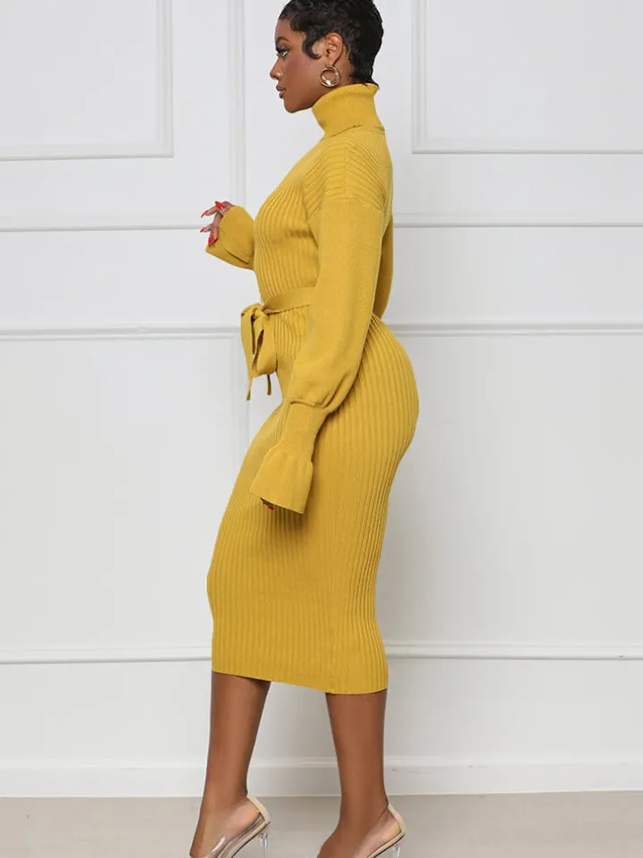 High Neck Long Sleeve Solid Midi Dreses