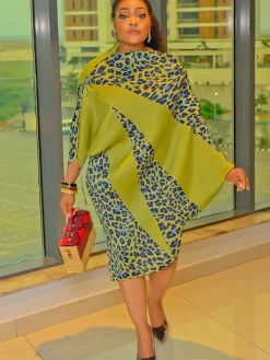 Long Sleeve Asymmetrical Leopard Print Mini Dress