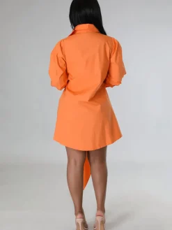 Long Sleeve Button Solid Shirt Dress