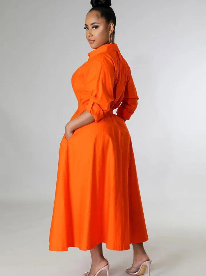 Long Sleeve Solid Color Bodycon Maxi Dress