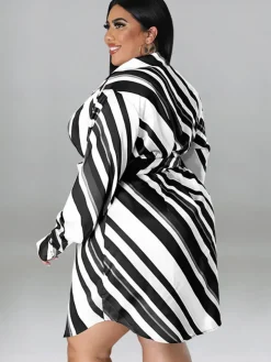 Long Sleeve Striped Mini Dress With Belt