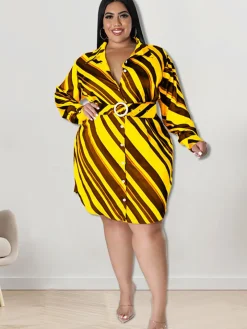 Long Sleeve Striped Mini Dress With Belt