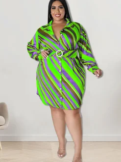 Long Sleeve Striped Mini Dress With Belt