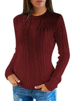 Long Sleeves Turtleneck Knit Sweaters