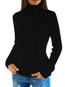 Long Sleeves Turtleneck Knit Sweaters