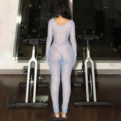 Mesh Long Sleeve Bodycon Jumpsuit