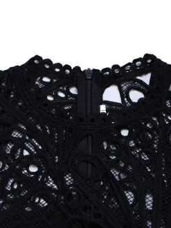 Plus Size Lace Hollow Out Pleated Dress