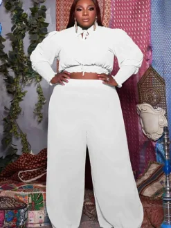 Plus Size Two Piece V Neck Crop Top Ruffle Wide Leg Pants