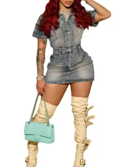 Short Sleeve Button Down Denim Mini Dress