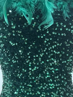 Sleeveless Feathers Sequin Party Mini Dress