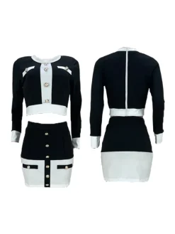 Two Pieces Color Block Button Front Skirt Set